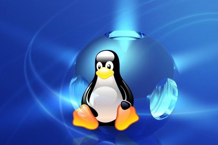 63f5bda0958b3.jpg 為什么Linux成為服務器的首選?.jpg
