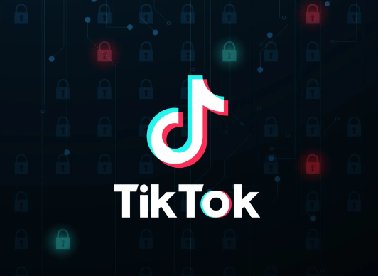 tiktok直播運營的服務器該怎么選？.png